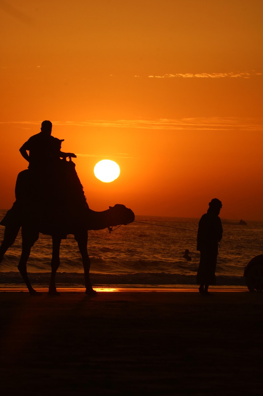 man, camel, sunset, nature, beach, morocco